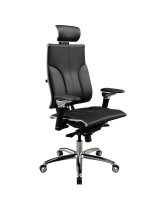 Кресло Yoga Spine Y 4DT L2-10D Genuine (кожа черная)